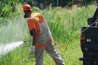 Έβρος: Σε ποιες περιοχές μας… ψεκάζουν αυτή την βδομάδα για καταπολέμηση των κουνουπιών