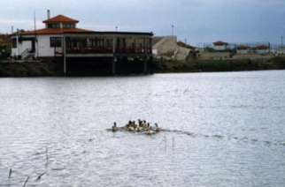 Δήμος Σουφλίου: Αξιοποιεί και το Εστιατόριο της λίμνης Τυχερού, βγάζοντας το σε δημοπρασία