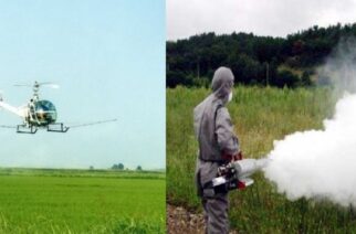 Έβρος: Συνεχόμενοι ψεκασμοί από αέρος και εδάφους, για την καταπολέμηση των κουνουπιών
