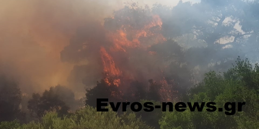 Απαγόρευση κυκλοφορίας αύριο σε δασικές εκτάσεις Αλεξανδρούπολης και Σουφλίου – Πολύ υψηλός κίνδυνος πυρκαγιάς