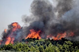 Πολιτική Προστασία: Πολύ υψηλός κίνδυνος πυρκαγιάς και σήμερα στον Έβρο