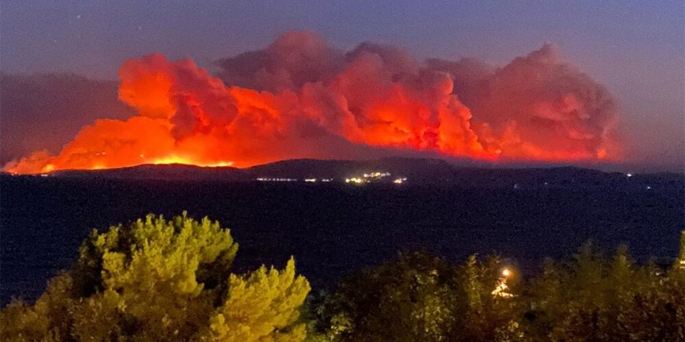 Τμήμα Δασολογίας Ορεστιάδας, για τις πρόσφατες Δασικές Πυρκαγιές: Θλιβερός απολογισμός, αισιοδοξία για την «επόμενη μέρα»