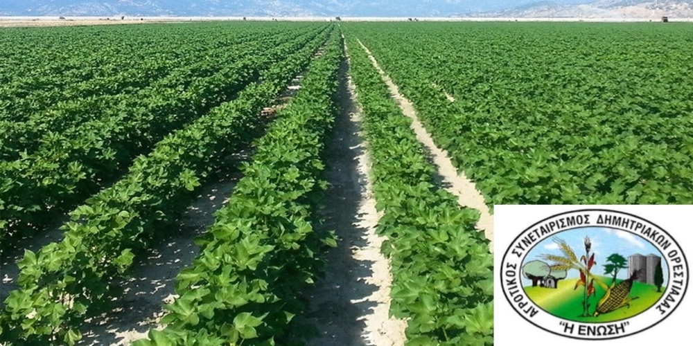 Ορεστιάδα: Έκπτωση στους αγρότες για τον ρυθμιστή φυτικής ανάπτυξης βαμβακιού, απ’ τον Αγροτικό Συνεταιρισμό Δημητριακών “Η ΕΝΩΣΗ”