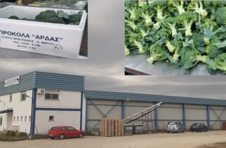 Ορεστιάδα: Αυξάνεται συνεχώς η ζήτηση και παραγωγή, για τα μοναδικά μπρόκολα Έβρου της Α.Σ.Κ.ΓΕ. Άρδας