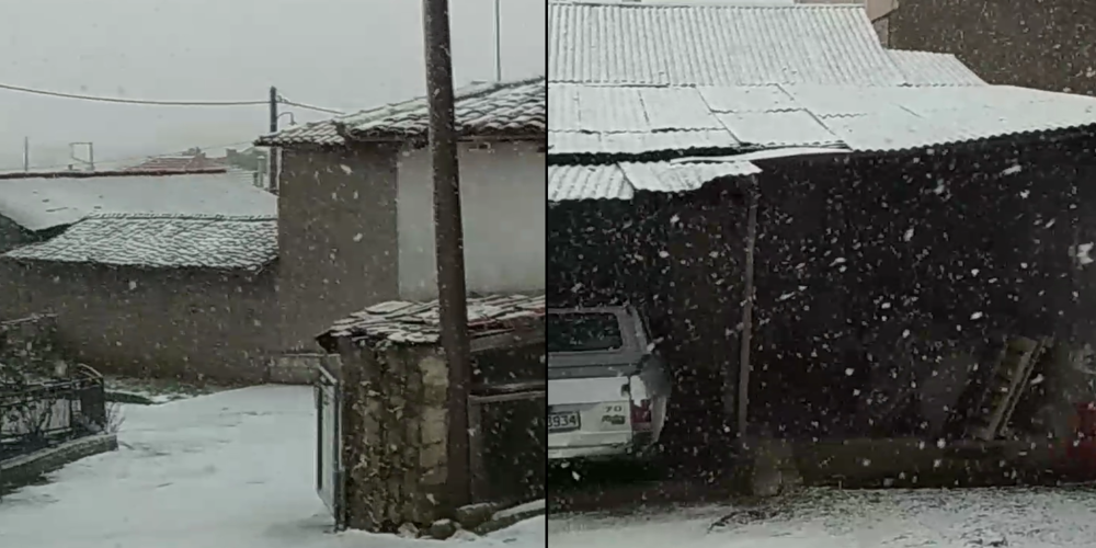 Ορεστιάδα: Ξεκίνησε να χιονίζει στον Πεντάλοφο – Η κακοκαιρία “Ελπίς” άρχισε (ΒΙΝΤΕΟ)