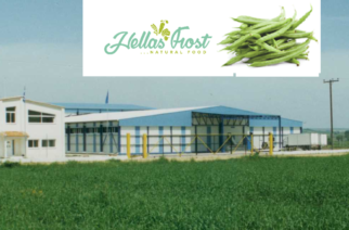 Hellas Frost: «Πράσινη» επένδυση για μονάδα βιοαερίου στους Μεταξάδες Διδυμοτείχου