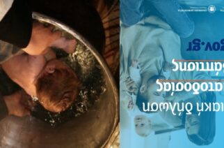 Ηλεκτρονικά πλέον στο gov.gr, η δήλωση ονοματοδοσίας παιδιού και η δήλωση βάπτισης