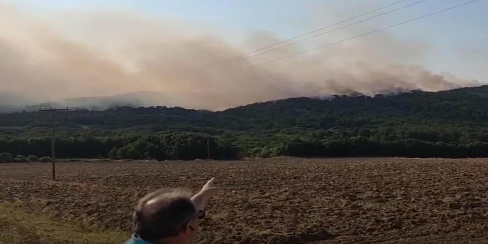 Πυρκαγιά Δαδιάς: Δυστυχώς δείχνει να ξεφεύγει η κατάσταση στην Λευκίμη – Φούντωσε μεγάλο μέτωπο