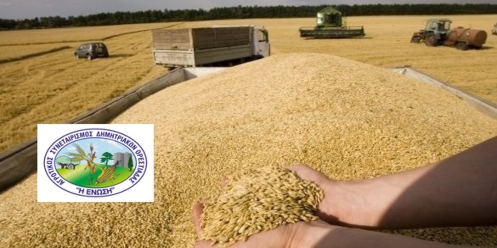 “ΕΝΩΣΗ” Ορεστιάδας: Κάνει διαγωνισμό για πώληση 22.000 τόνων σκληρού και 1.500 τόνων μαλακού σιταριού