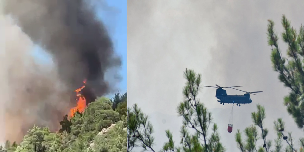 Για τρίτη ημέρα ανεξέλεγκτη η μεγάλη φωτιά στο Εθνικό πάρκο Δαδιάς – Επιχειρούν 13 εναέρια μέσα