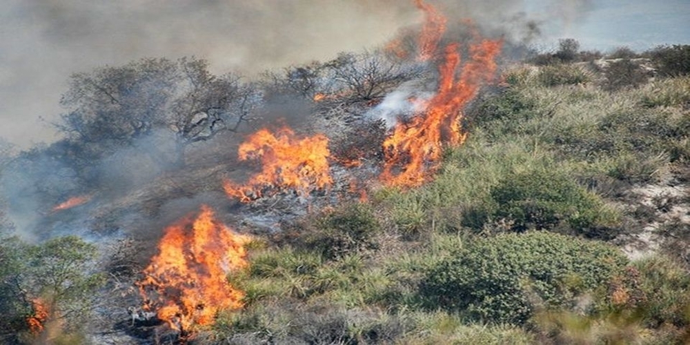 Σουφλί ΤΩΡΑ: Φωτιά μεταξύ Αμορίου-Λαβάρων. Εκκενώνεται προληπτικά το στρατιωτικό φυλάκιο