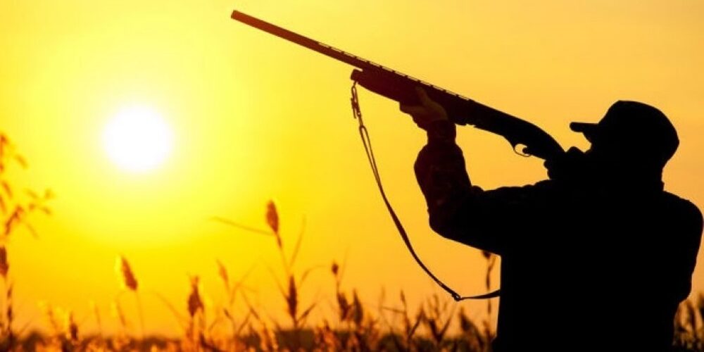 Ξεκινάει σήμερα 20 Αυγούστου επίσημα η κυνηγετική περίοδος – Τι ισχύει για κυνηγούς, θηράματα