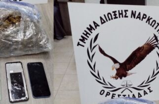 Ορεστιάδα: Συνέλαβαν δυο Έλληνες μέλη συμμορίας, που διακινούσαν ναρκωτικά σε περιοχές του Βόρειου Έβρου