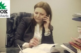 ΠΑΣΟΚ-ΚΙΝΑΛ: Αναπληρώτρια Γραμματέας του Τομέα  Άμυνας ορίστηκε η Εβρίτισσα Κρυσταλλία Αρμενάκη