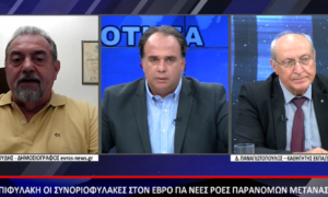 Ο Κώστας Πιτιακούδης στην ΒΕΡΓΙΝΑ Τηλεόραση για νησίδες και λαθρομετανάστες στον Έβρο (ΒΙΝΤΕΟ)