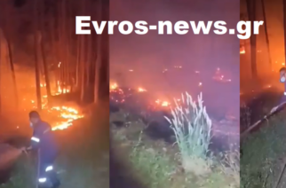 Έσβησαν μετά από 3 ώρες τη φωτιά μεταξύ Δαδιάς-Αισύμης οι Πυροσβεστικές δυνάμεις (ΒΙΝΤΕΟ)