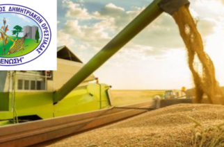 “Η ΕΝΩΣΗ” Αγροτικός Συνεταιρισμός Ορεστιάδας: Πουλάει 29.000 τόνους σιτάρι φετινής σοδειάς – Η κατάθεση προσφορών