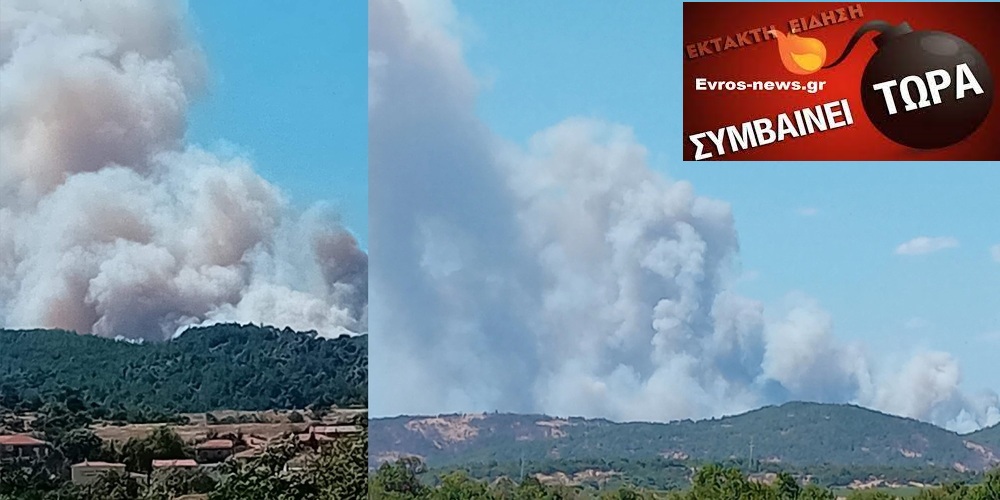 Φωτιά  Δάσους Δαδιάς: Οι κάτοικοι έχουν ακινητοποιήσει 17 λαθρομετανάστες εκεί που ξεκίνησε η τεράστια πυρκαγιά (BINTEO)