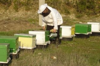 Αιτήματα και προτάσεις των μελισσοκόμων του Έβρου για τις καταστροφές απ’ τις πυρκαγιές