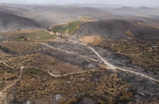 Έβρος: Αναστέλλονται για ένα χρόνο οι οικονομικές δραστηριότητες στη δασική περιοχή που έκαψε η φωτιά