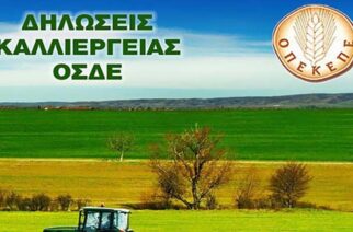 Αλεξανδρούπολη-ΠΑΡΑΝΟΜΕΣ δηλώσεις καλλιέργειας δημοσίων εκτάσεων: ΠΡΟΚΑΛΟΥΜΕ υποψήφιους, θεσμικούς. Δημοσιεύστε όλοι τις δηλώσεις σας