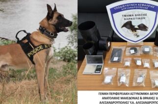 Αλεξανδρούπολη: Συνέλαβαν διακινητή ναρκωτικών, με τη βοήθεια του αστυνομικού σκύλου «JACK»