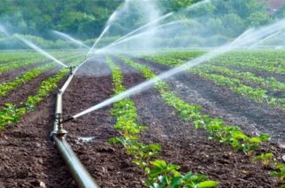 ΓΟΕΒ-ΤΟΕΒ Ορεστιάδας: Οι αγρότες θα πληρώσουν έκτακτη εισφορά 443.000 ευρώ στην ΔΕΗ