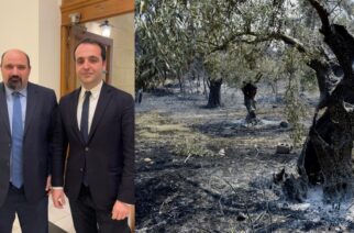 Δερμεντζόπουλος σε Τριαντόπουλο: “Να γίνει άμεσα η πληρωμή της προκαταβολής στους πληγέντες ελαιοπαραγωγούς απ’ τις πυρκαγιές”