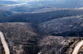 Έβρος: Οι 5 πρώτες προτάσεις για άμβλυνση των επιπτώσεων των καταστροφικών πυρκαγιών του καλοκαιριού