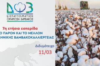 Διδυμότειχο: Εσπερίδα 11/3 για το παρόν και το μέλλον της ελληνικής βαμβακοκαλλιέργειας