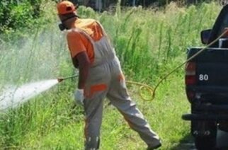 Έβρος: Μας… ψεκάζουν μόνο επίγεια αυτή την βδομάδα για καταπολέμηση των κουνουπιών